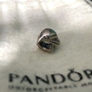 Authentic Pandora “Moments” Charm